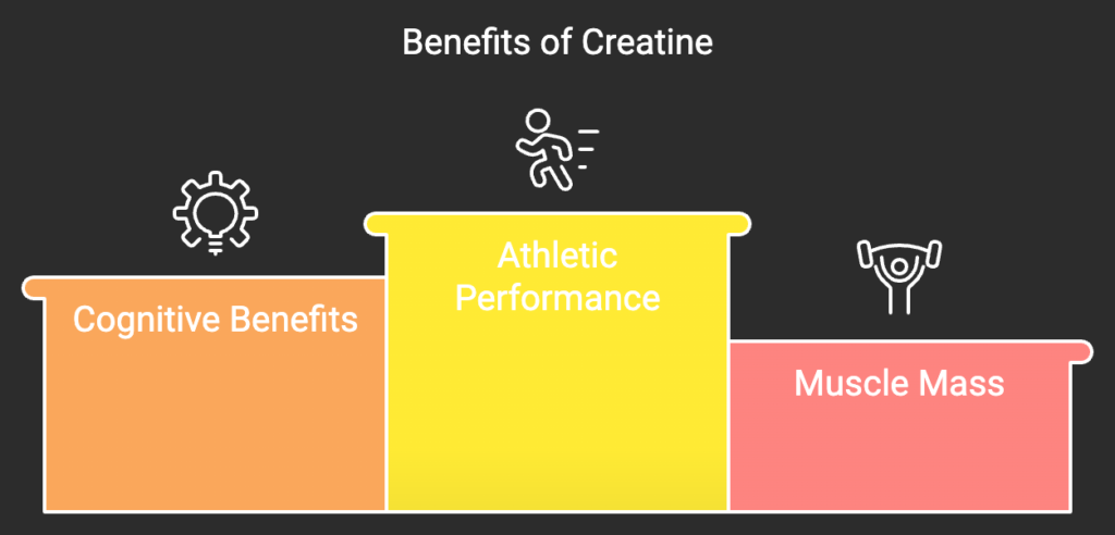 Benefits of creatine infographic showing cognitive, athletic performance, and muscle mass advantages