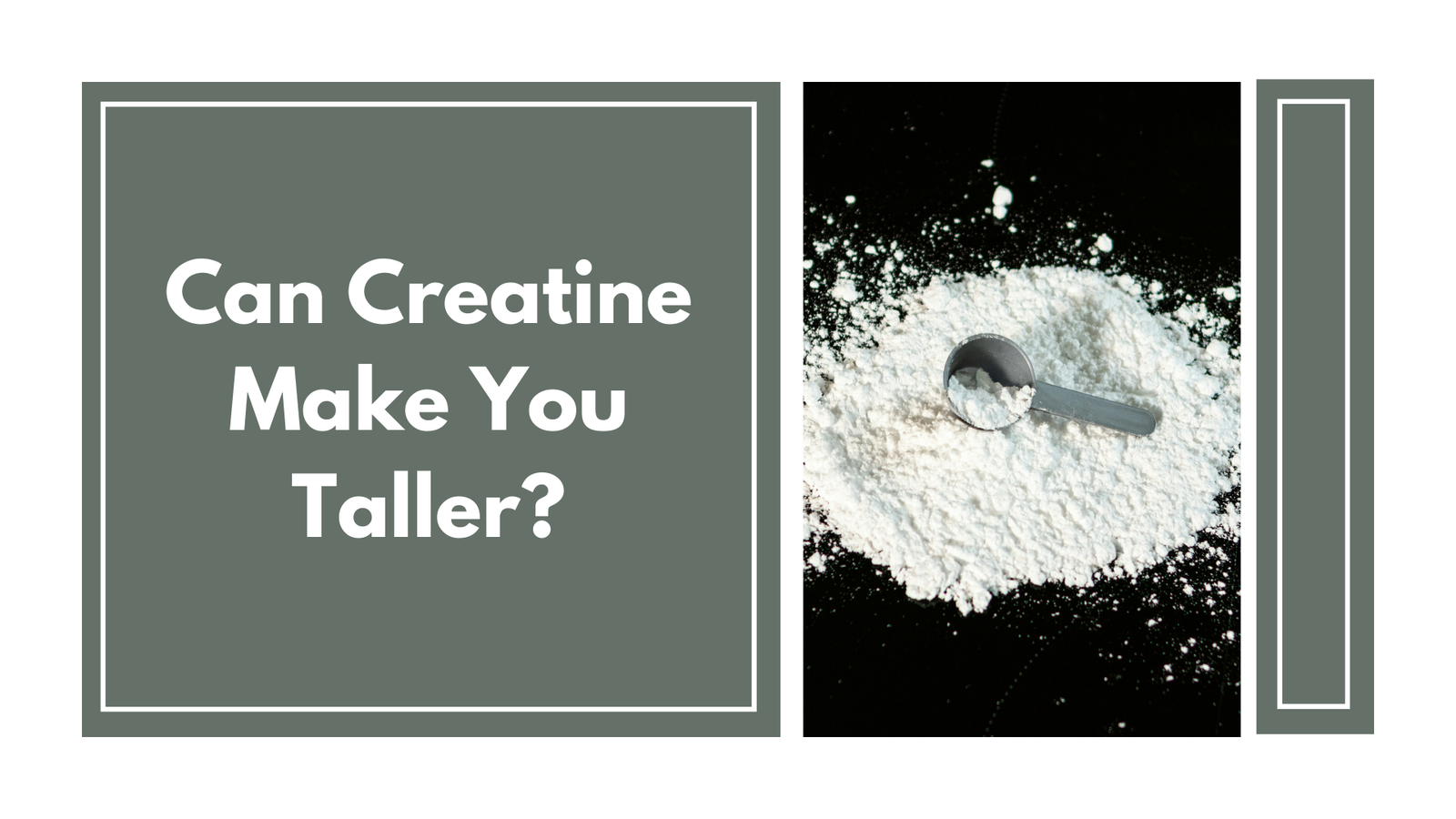 Image of a powdered creatine supplement with a scoop, accompanied by the text 'Can Creatine Make You Taller?' against a simple green background.