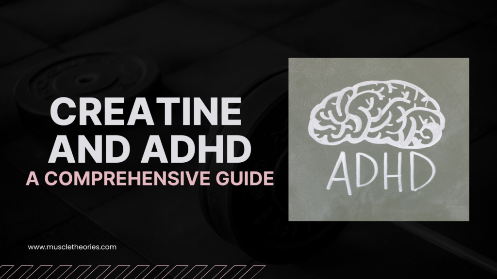 Creatine and ADHD Comprehensive Guide - Benefits of Creatine for Focus and Brain Health